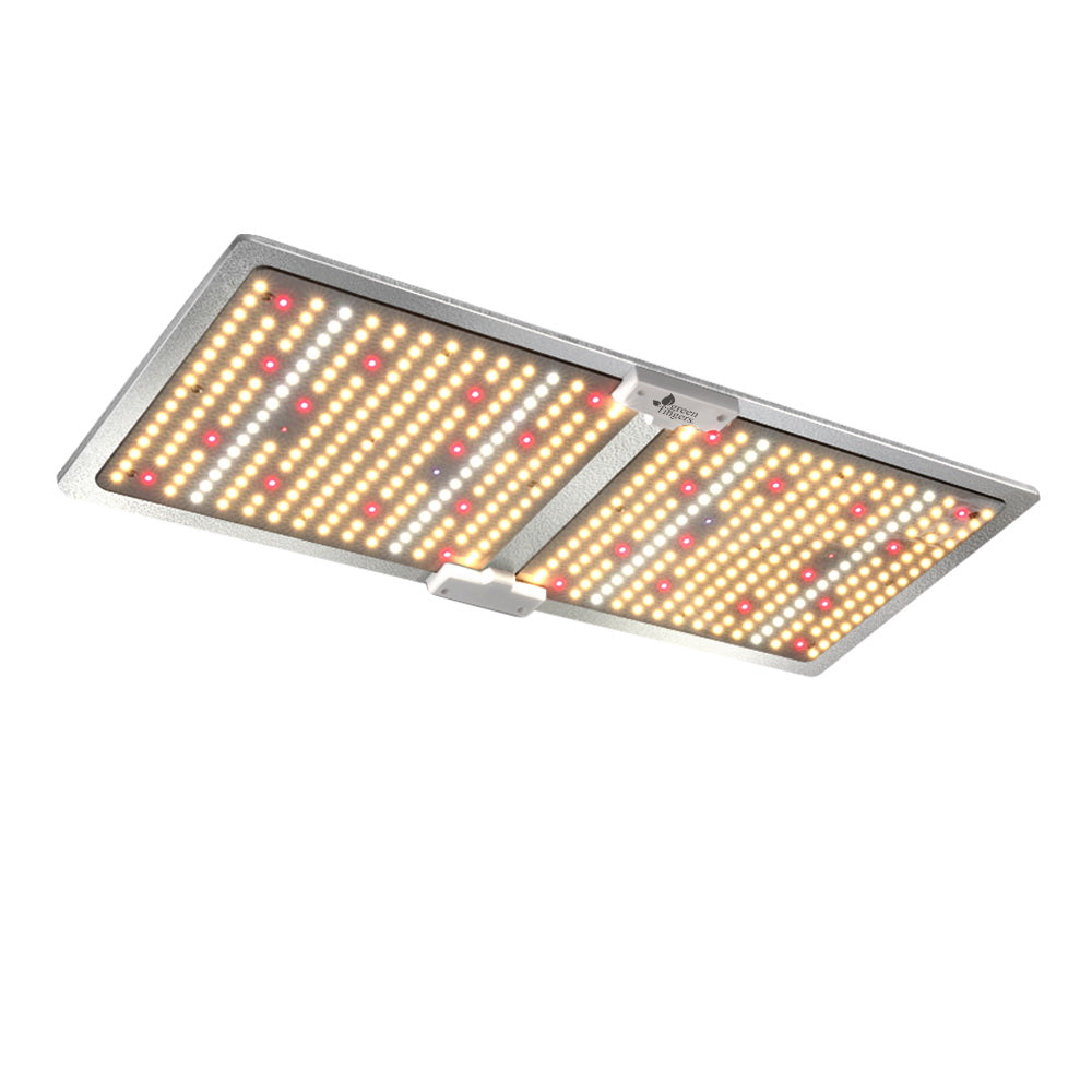 GL-BOARD-220-DIM-202512182024-00.jpg