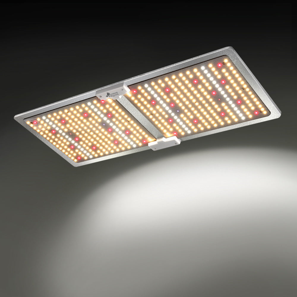 GL-BOARD-220-DIM-202512182024-06.jpg
