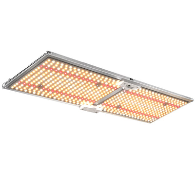 GL-BOARD-300-DIM-35707-00.jpg