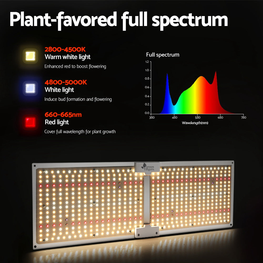 GL-BOARD-300-DIM-35707-02.jpg