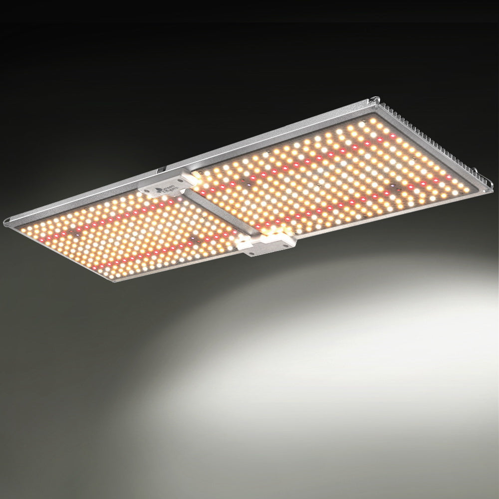 GL-BOARD-300-DIM-35707-06.jpg