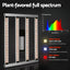 GL-BOARD-320-DIM-BAR-59317-04.jpg