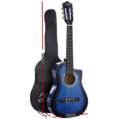 GUITAR-D-34-BLUE-CAPO-20597-01.jpg