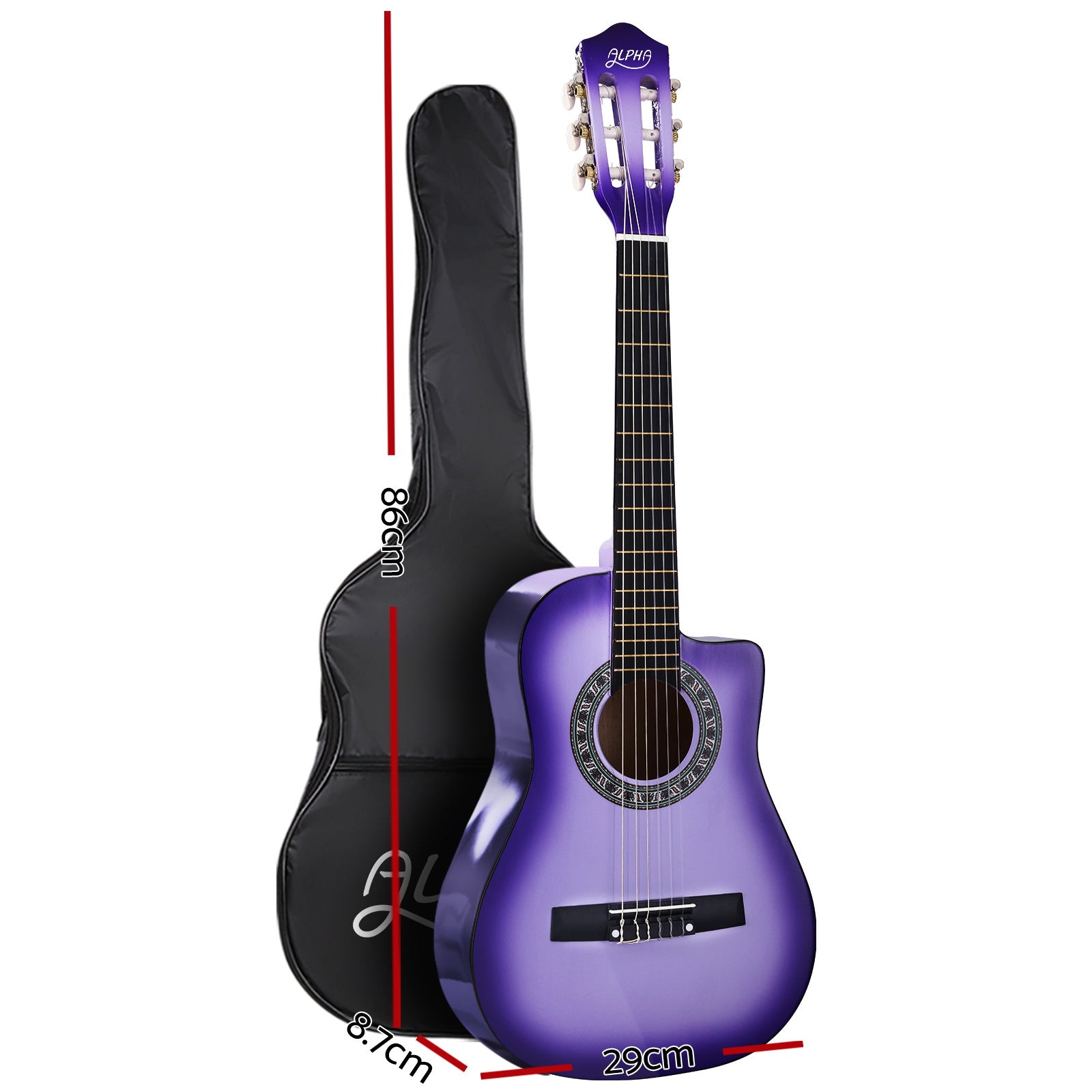 GUITAR-D-34-PURPLE-CAPO-20595-01.jpg