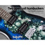 GUITAR-D-41-ELEC-SKULL-20827-04.jpg
