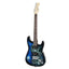 GUITAR-D-41-ELEC-SKULL-ACC-20829-02.jpg
