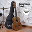 Alpha 31" Steel String Acoustic Guitar Portable
