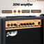GUITAR-E-41-ELEC-ACC-03.jpg