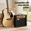 GUITAR-E-41-ELEC-ACC-05.jpg