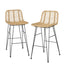 ODF-BA-TW-RATTAN-NA-X2-73336-00.jpg