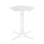 FF-TABLE-SL-WH-202508211842-02.jpg