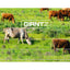 Giantz Electric Fence Poly Wire 2000M