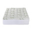 TOPPER-BAM-11-Q-202508041805-02.jpg
