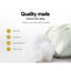 PILLOW-BAM-2M2F-87778-04.jpg