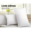 PILLOW-MICRO-2M2F-K-202502281438-04.jpg