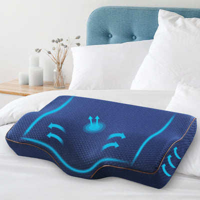 PILLOW-MEFO-BTFL-NY-202502281436-00.jpg