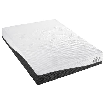 FOAM-MFM-H021-D-00.jpg