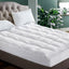 TOPPER-PT-D-202502281428-00.jpg