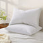 PILLOW-MEFO-SHEDX2-202508201954-06.jpg