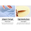 Giselle Bedding Wedge Pillow Blue Twin Pack