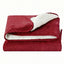 EB-C-THROW-DS-200-BGD-202601231428-03.jpg