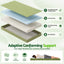 FOAM-MFM-CAMP-GN-02.jpg