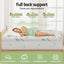 TOPPER-BAM-11-K-202508041912-03.jpg