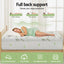 TOPPER-BAM-11-KS-202508041804-03.jpg