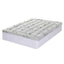 TOPPER-BAM-11-Q-202508041805-00.jpg
