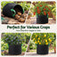 GB-BAG-15GAL-10PC-06.jpg