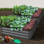 GARDEN-ALUMGR-12-FC2-202502282036-00.jpg