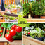 Green Fingers Raised Garden Bed 2x Elevated 120x60x80cm Wooden Planter Box Container