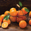 Hamptons Deluxe Large Candle - Exotic Oasis - Persian Orange and Cassis