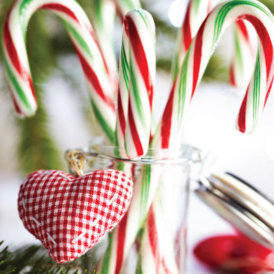 Hamptons Diffuser - Candy Heaven - Peppermint & Candy Cane