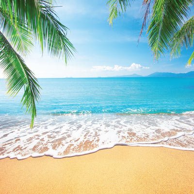 Hamptons Diffuser - Palm Beach - Sea Spray & Coconut