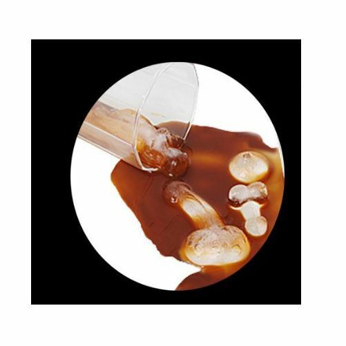 Hens Ice Tray 5 Pc Penis Willy Chocolate Plastic Mould Night Dicky Drink Drinks