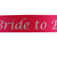 Hens Night Party Bridal Sash Hot Pink/Silver - Bride To Be