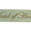 Hens Party Sash Sashes Bride Night Party Bridal Wedding Bridesmaid Bachelorette