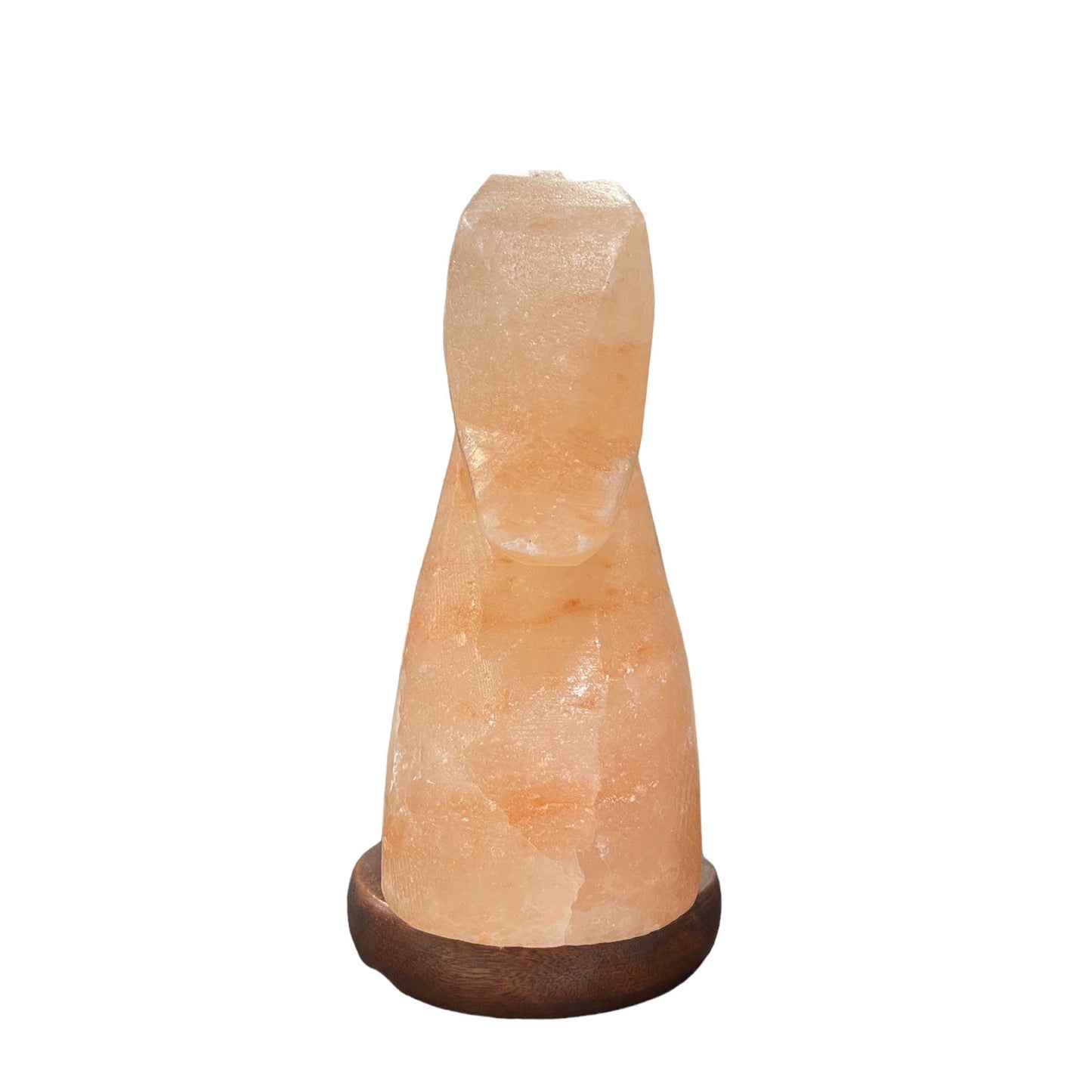 Himalayan Pink Salt Lamp - 12V 12W Knight Horse Shape Carved Crystal Rock
