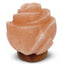 Himalayan Pink Salt Lamp + 12W 12V Switch - Carved Shape Natural Crystal Rock