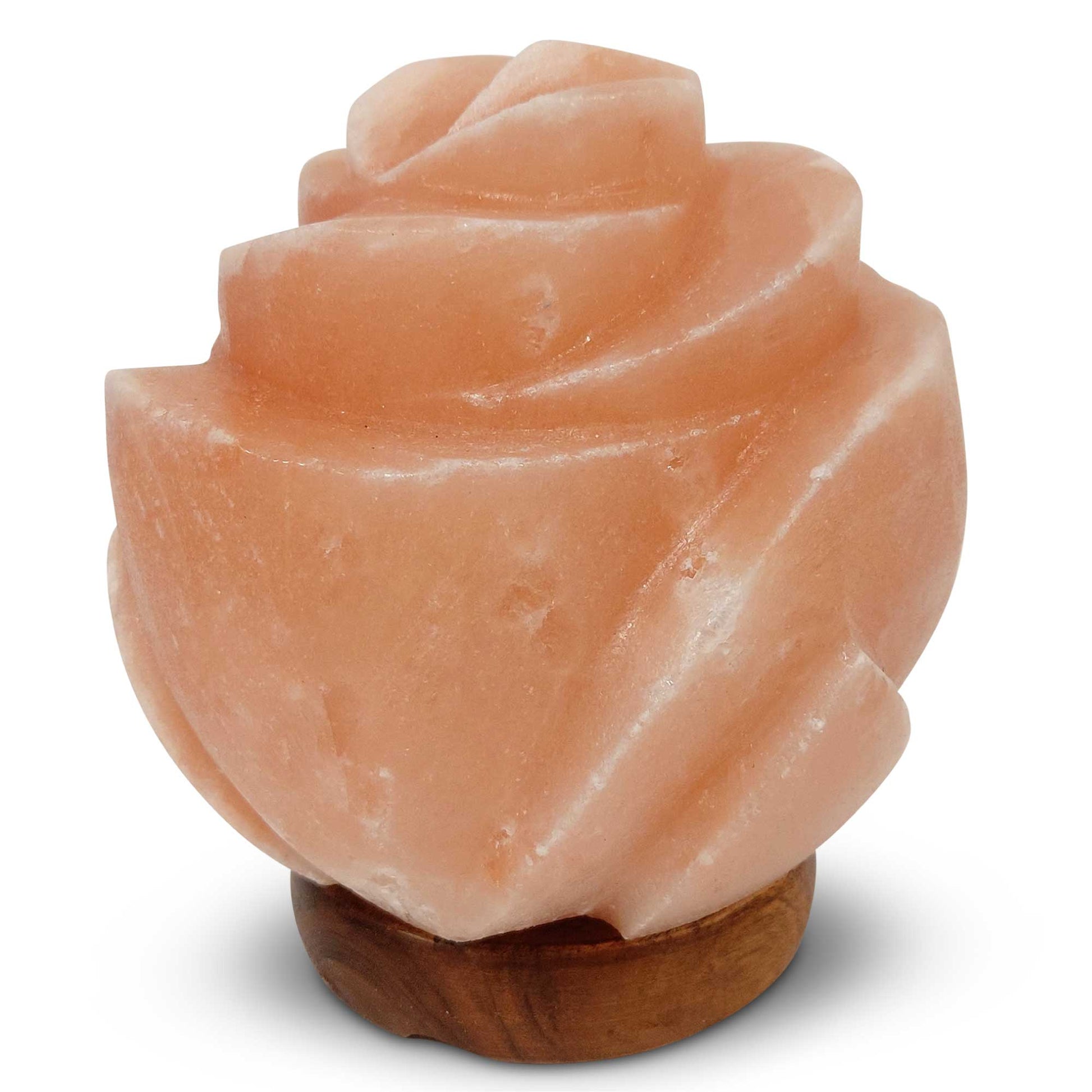 Himalayan Pink Salt Lamp + 12W 12V Switch - Carved Shape Natural Crystal Rock