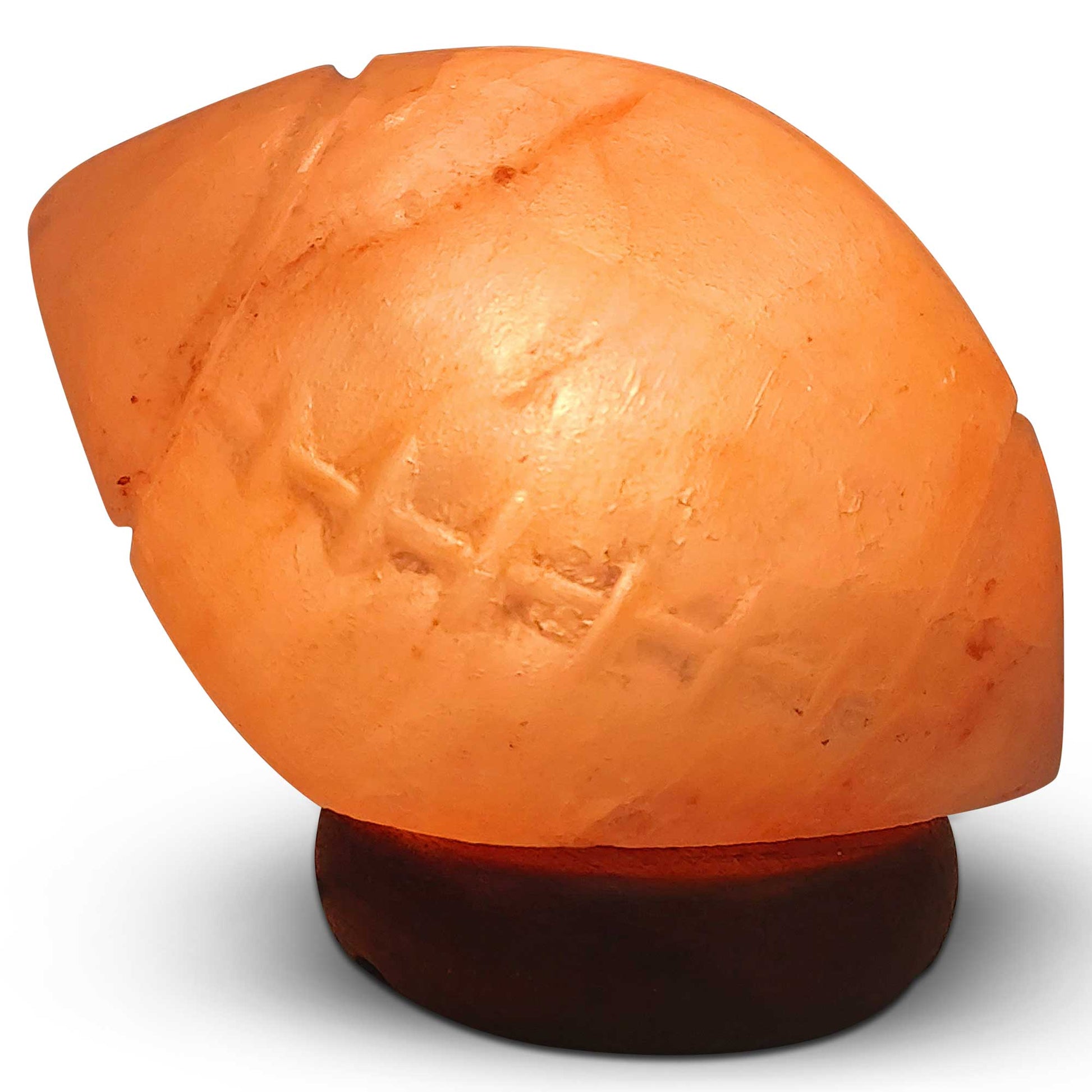 Himalayan Pink Salt Lamp + 12W 12V Switch - Carved Shape Natural Crystal Rock