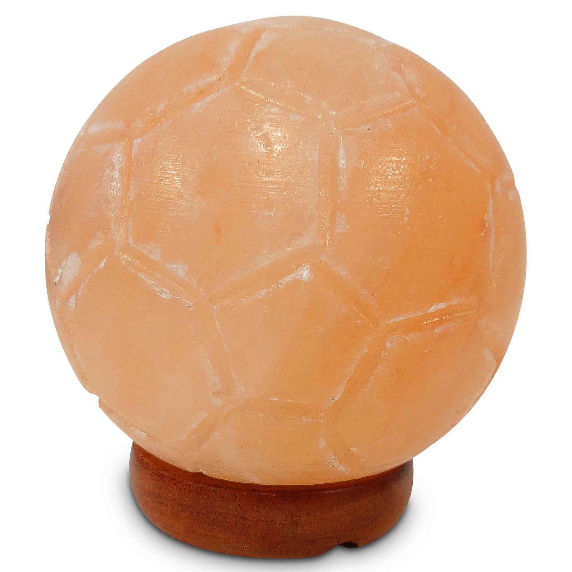 Himalayan Pink Salt Lamp + 12W 12V Switch - Carved Shape Natural Crystal Rock