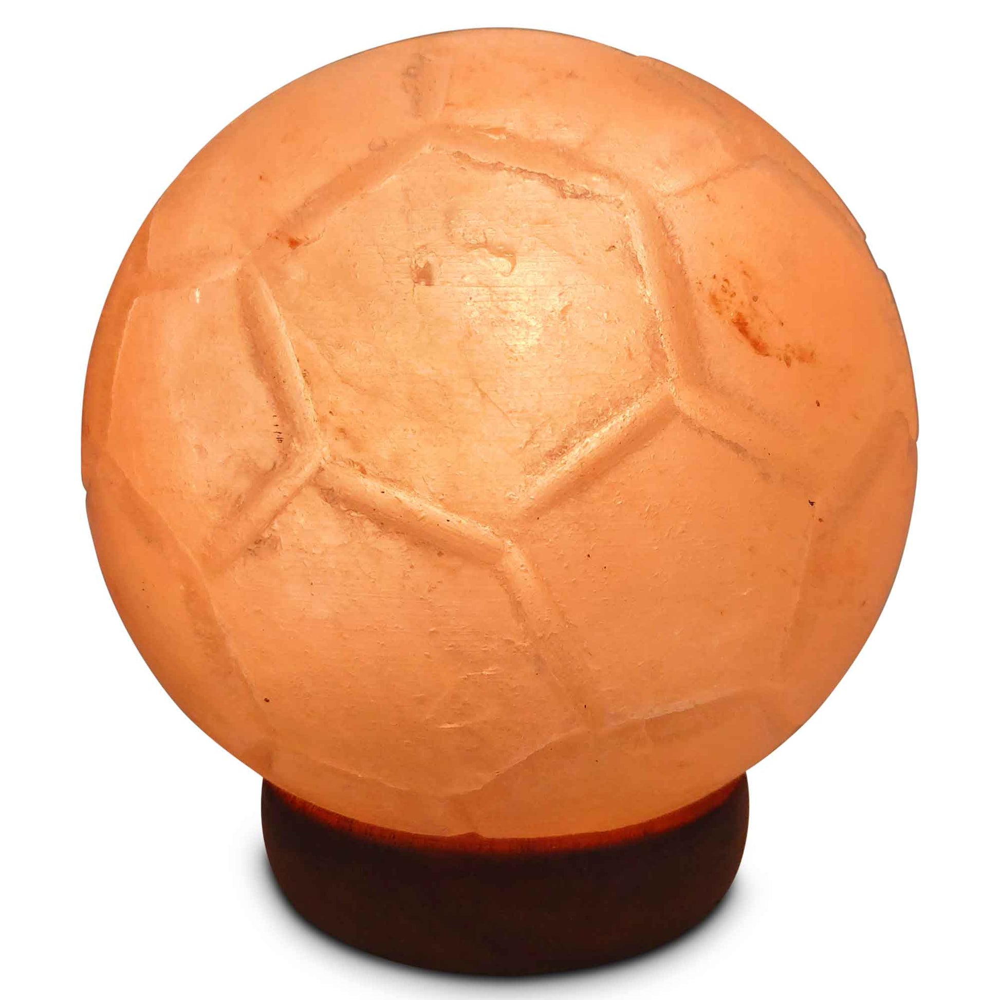 Himalayan Pink Salt Lamp + 12W 12V Switch - Carved Shape Natural Crystal Rock