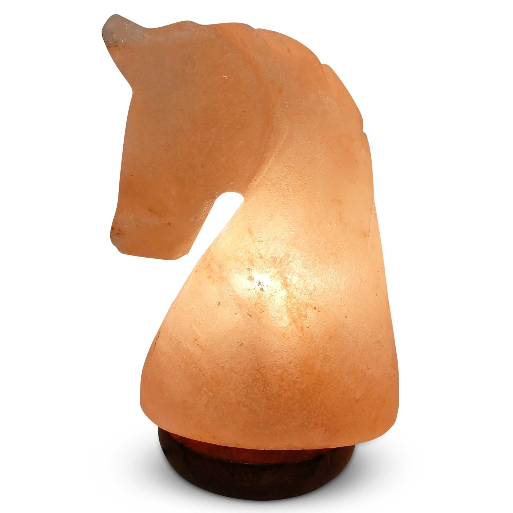 Himalayan Pink Salt Lamp + 12W 12V Switch - Carved Shape Natural Crystal Rock