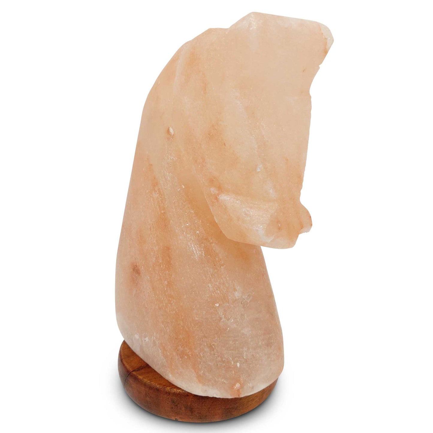 Himalayan Pink Salt Lamp + 12W 12V Switch - Carved Shape Natural Crystal Rock