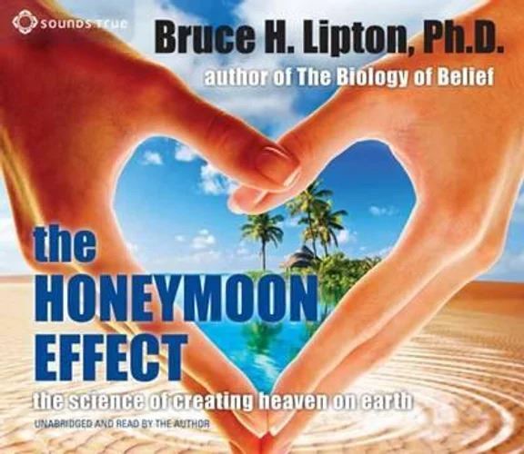 Honeymoon Effect - Original