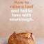 How to raise a loaf and fall in love with sourdough