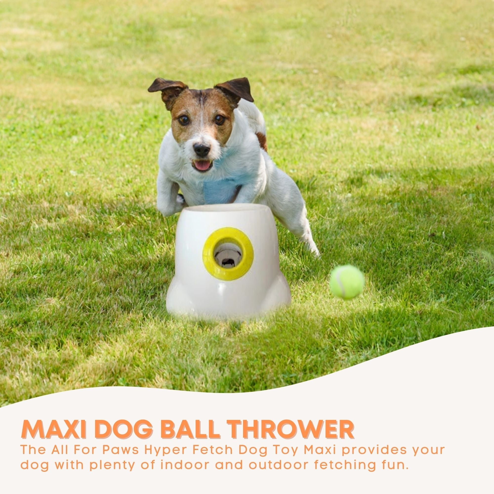 Large Hyper Fetch Maxi Interactive Dog Ball Thrower Buy AFP Online Ozdingo