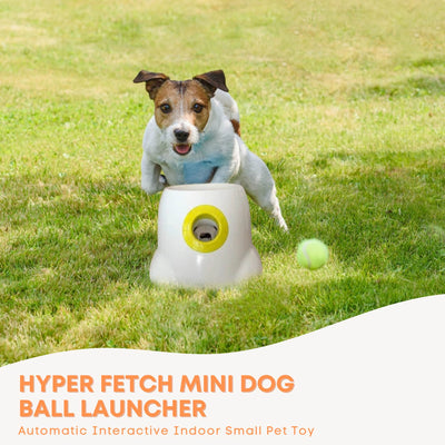 Hyper Fetch Mini Dog Ball Launcher - Automatic Interactive Indoor Small Pet Toy